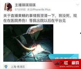 黄鳝门21分钟完整版在线观看,揭秘事件真相与幕后黑幕 第2张 黄鳝门21分钟完整版在线观看,揭秘事件真相与幕后黑幕 第2张